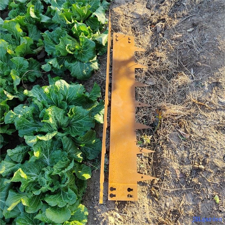 Jaden Border Border