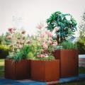 Planter Pot With Unique Design