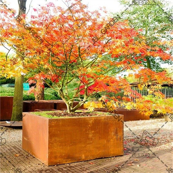 Raised Garden Bed With Galvanized Metal