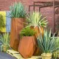Wholesale Pots Succulent