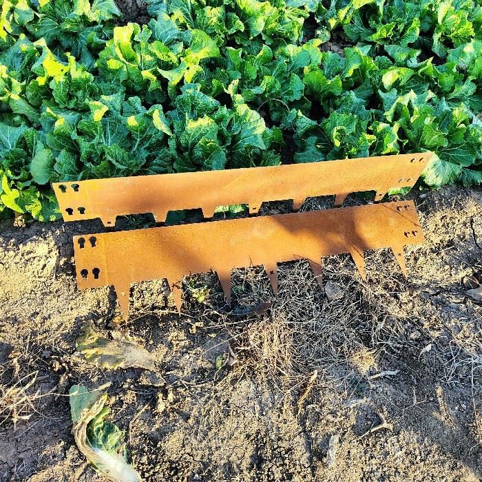 Corten Steel Lawn Edgings best