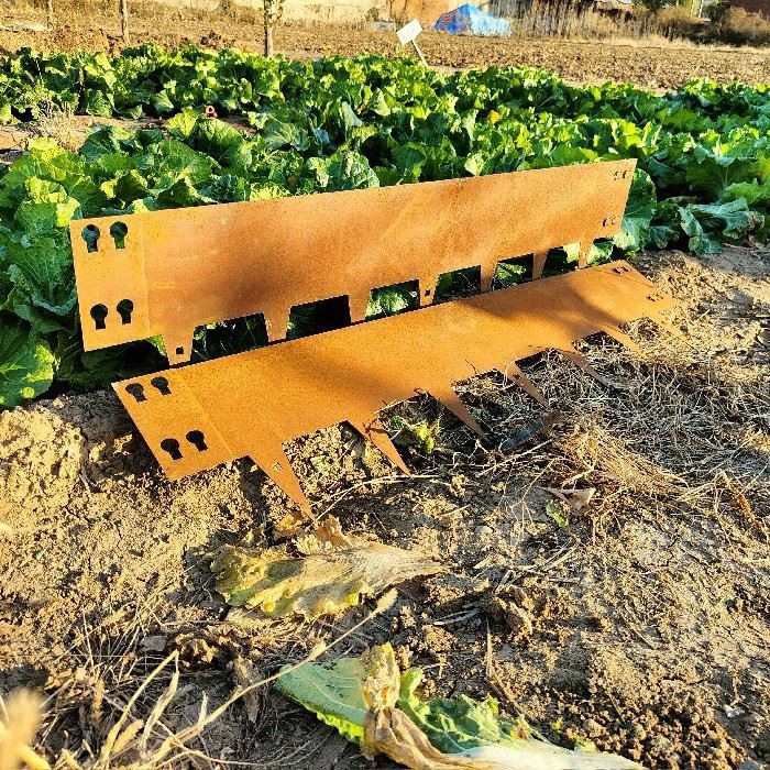 Corten Steel Lawn Edgings best
