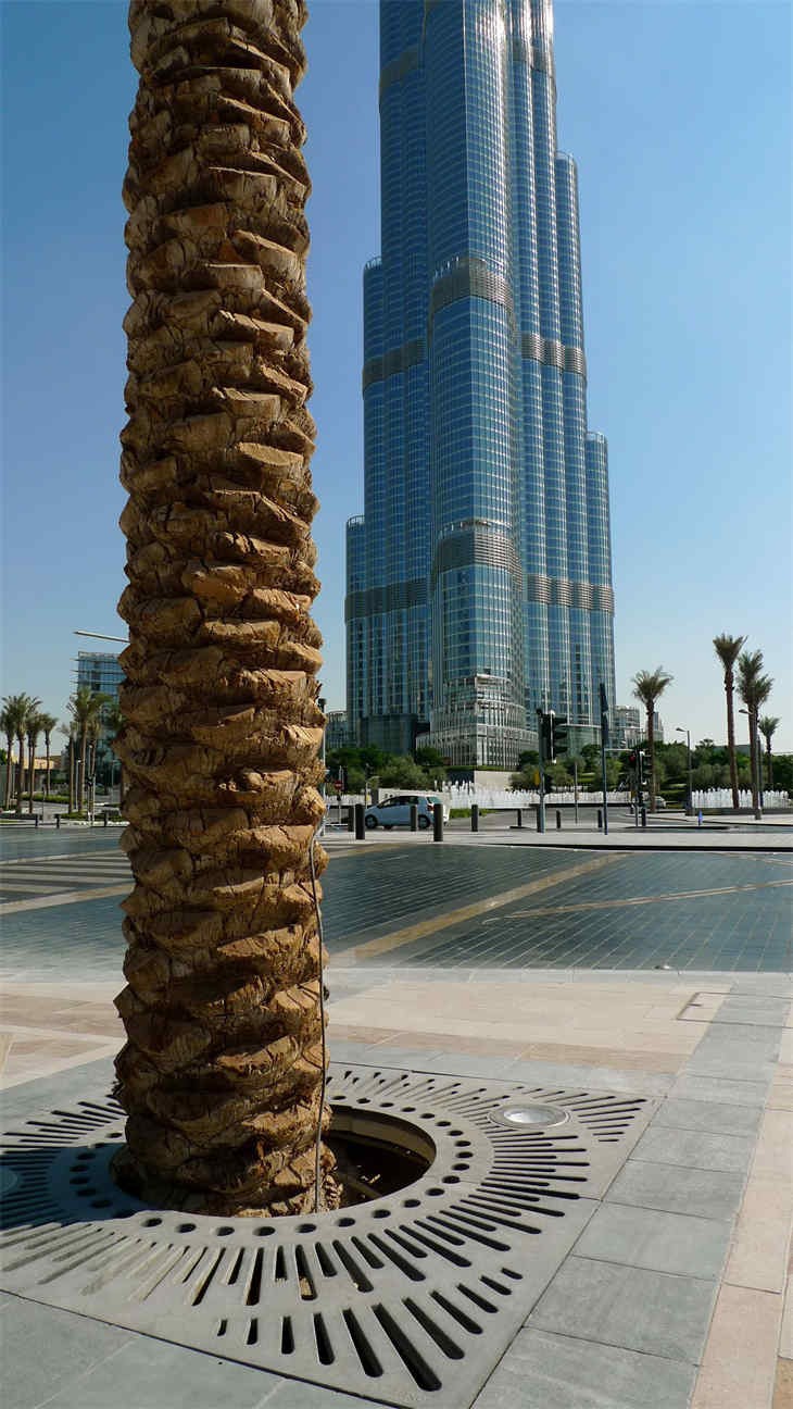 Garden Steel Tree Gates price