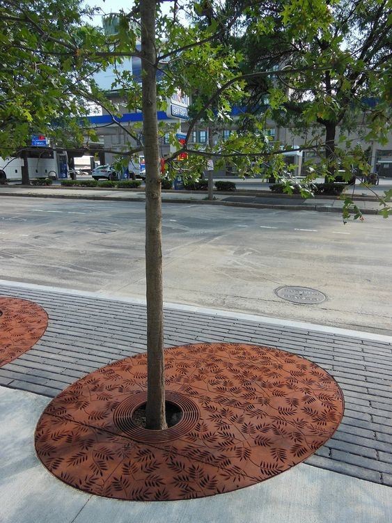 Steel Tree Guard